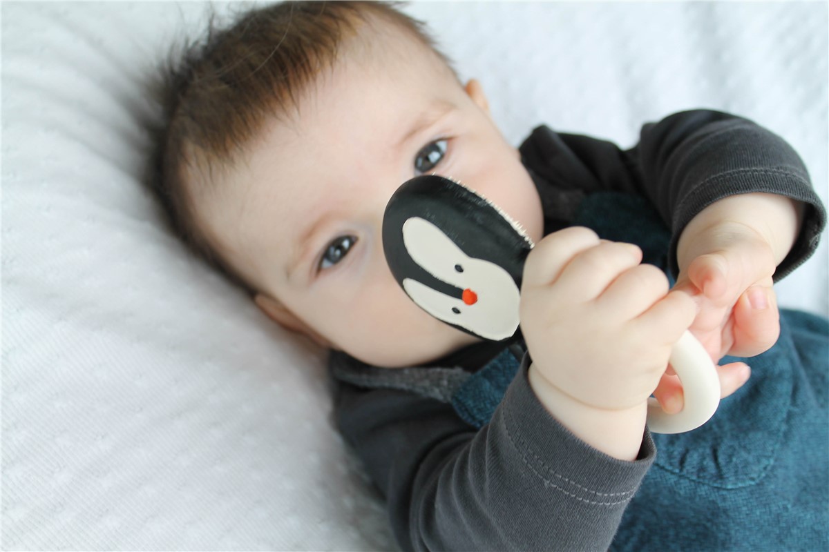 mossegador cautxu pingui1